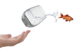 header image of Einführung neuer Strategien